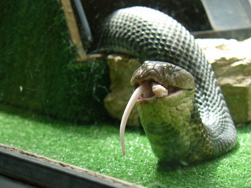 2008 05 Séjour à Martel 80